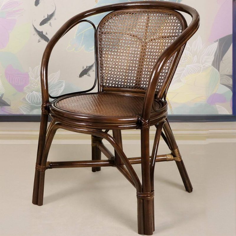 "Modern Simple Style Uv-protected Cane Outdoor Arm Chair in Brown, 1 Chair, Brown"