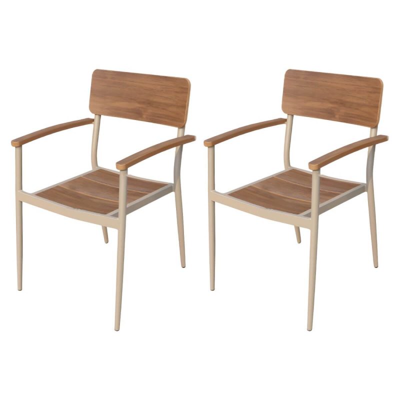 "Matte Finish Metallic Patio Chair Assembled Industrial with Arms - 2 Piece Set"