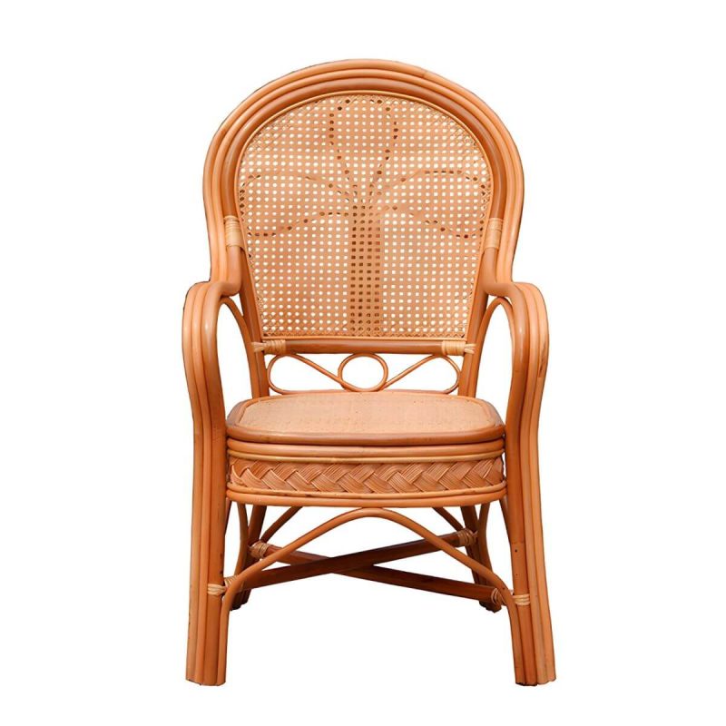 "Traditional 40.55" Height Solid Color Rattan Outdoor Dining Armchair - Orange 1 Piece"