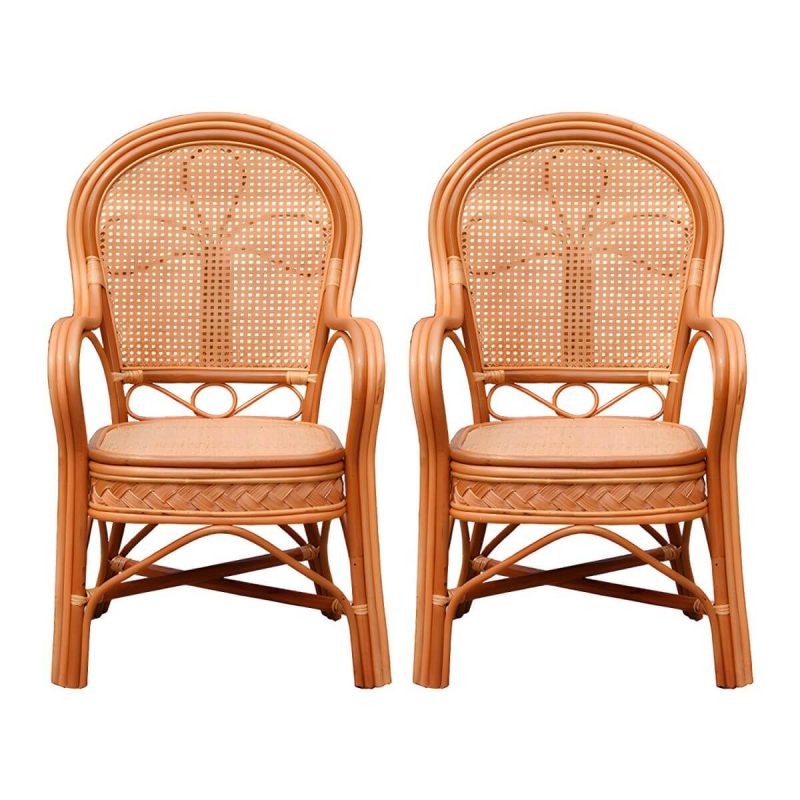 "Traditional 40.55" Height Solid Color Rattan Outdoor Dining Armchair - Orange 2 Piece Set"