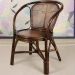 "Modern Simple Style Uv-protected Cane Outdoor Arm Chair in Brown, 1 Chair, Brown"